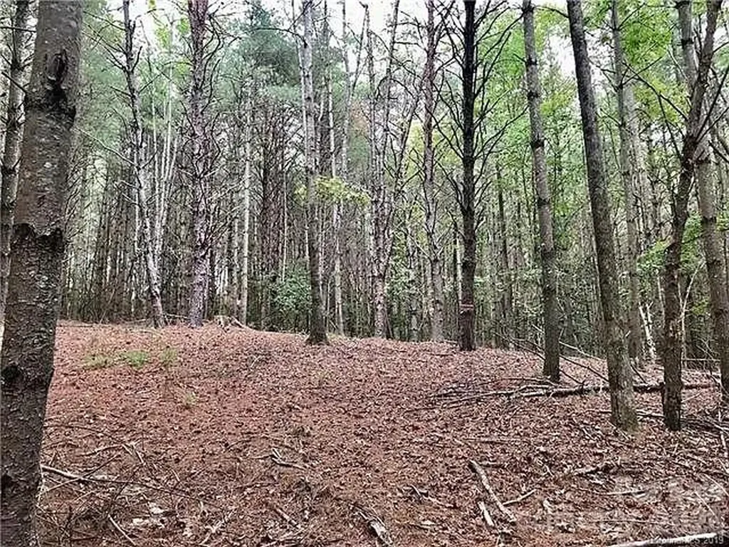 1388 Old Dry Creek Road Morganton NC 28655