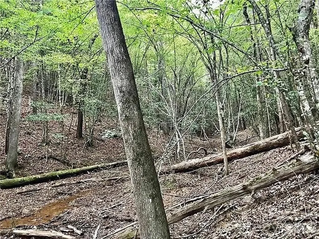 1388 Old Dry Creek Road Morganton NC 28655