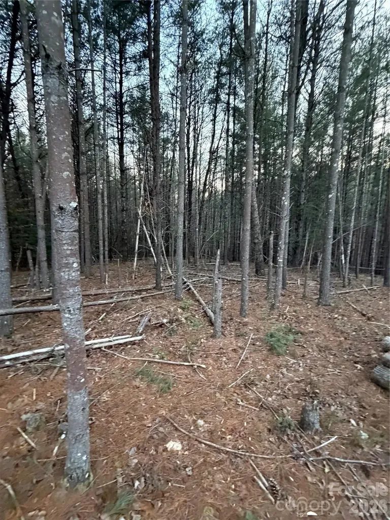 1388 Old Dry Creek Road Morganton NC 28655