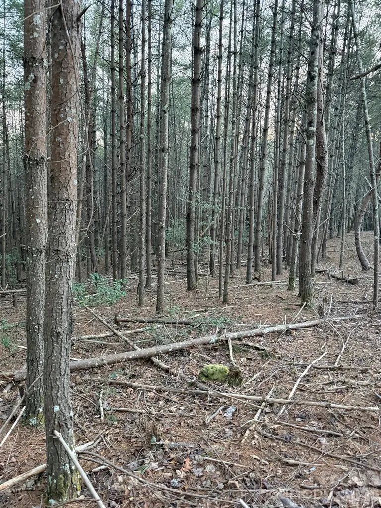 1388 Old Dry Creek Road Morganton NC 28655