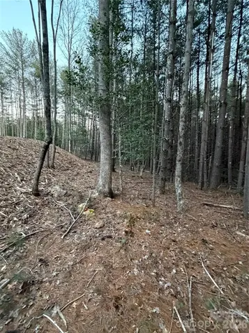 1388 Old Dry Creek Road Morganton NC 28655