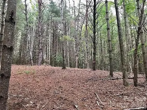 1388 Old Dry Creek Road Morganton NC 28655