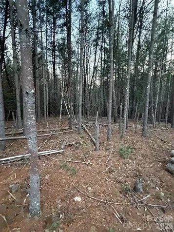 1388 Old Dry Creek Road Morganton NC 28655