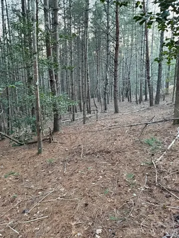 1388 Old Dry Creek Road Morganton NC 28655