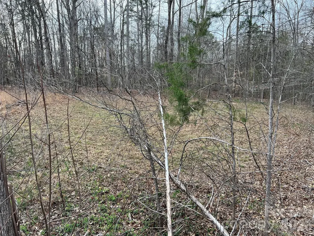 Lot 2 Patterson Farm Road Mooresville NC 28115