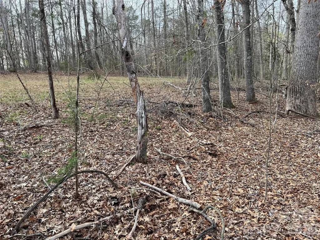 Lot 2 Patterson Farm Road Mooresville NC 28115