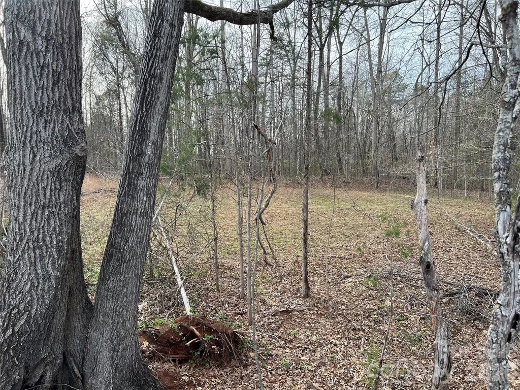 Lot 2 Patterson Farm Road Mooresville NC 28115
