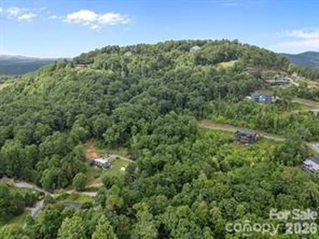 W12 Curtain Bluff Hendersonville NC 28791