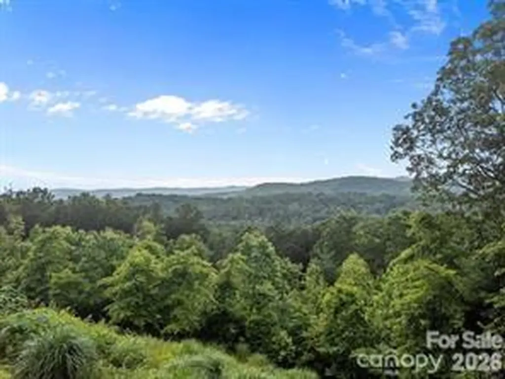 W12 Curtain Bluff Hendersonville NC 28791
