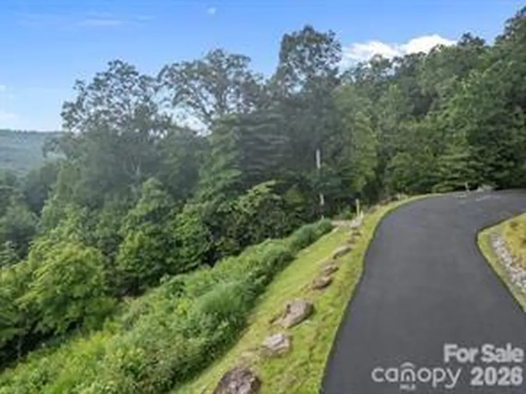 W12 Curtain Bluff Hendersonville NC 28791