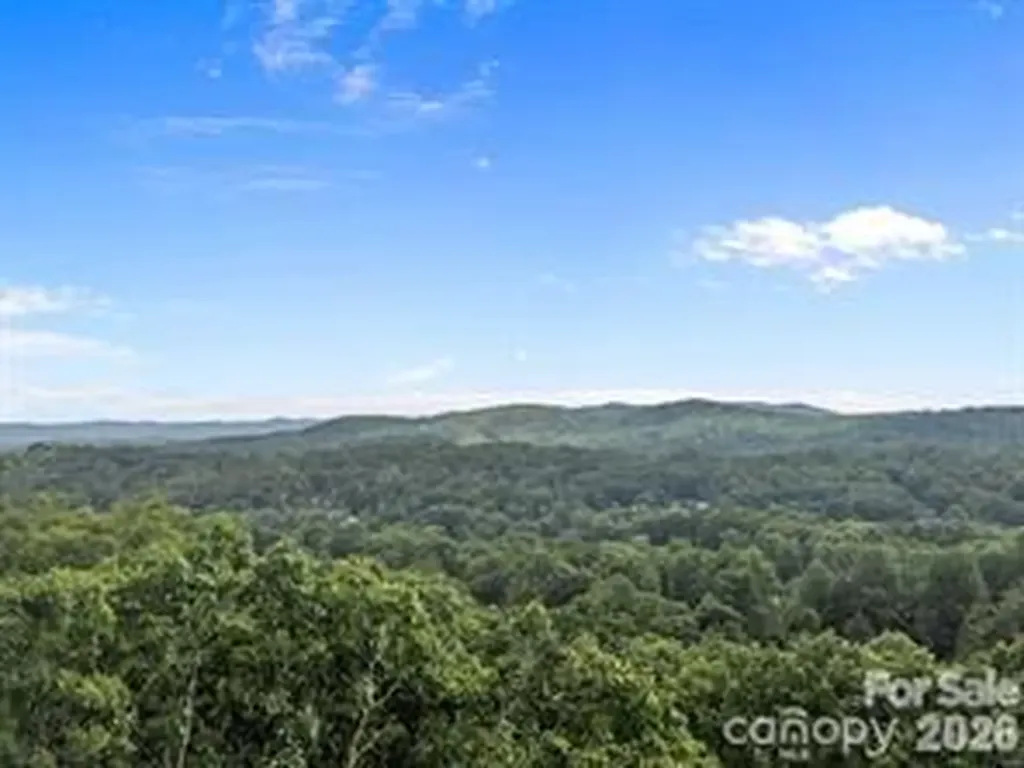 W12 Curtain Bluff Hendersonville NC 28791