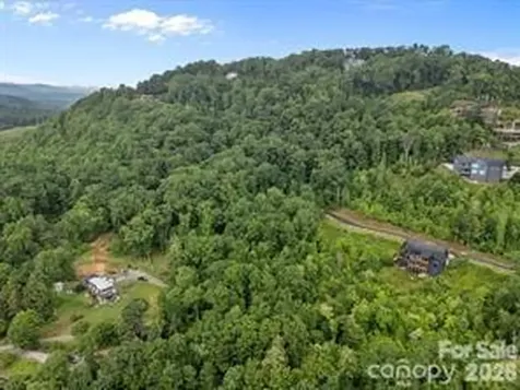 W12 Curtain Bluff Hendersonville NC 28791