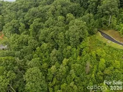 W12 Curtain Bluff Hendersonville NC 28791
