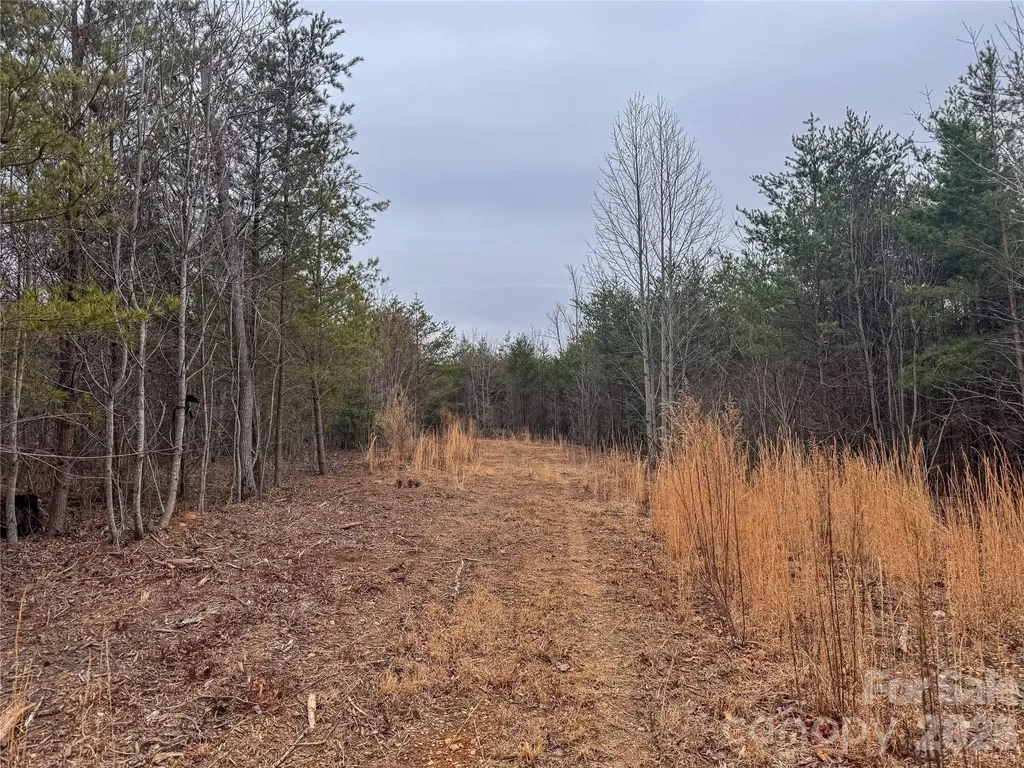 00 Baugess Mill Road Traphill NC 28685