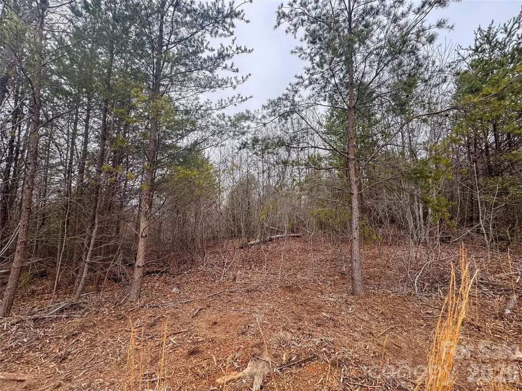 00 Baugess Mill Road Traphill NC 28685