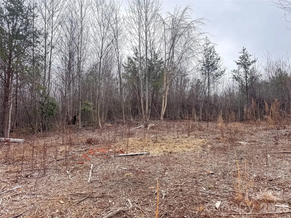 00 Baugess Mill Road Traphill NC 28685