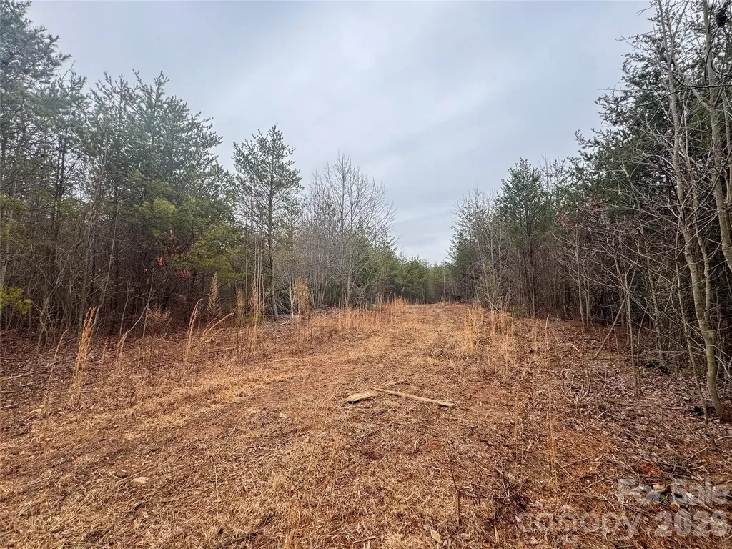 00 Baugess Mill Road Traphill NC 28685