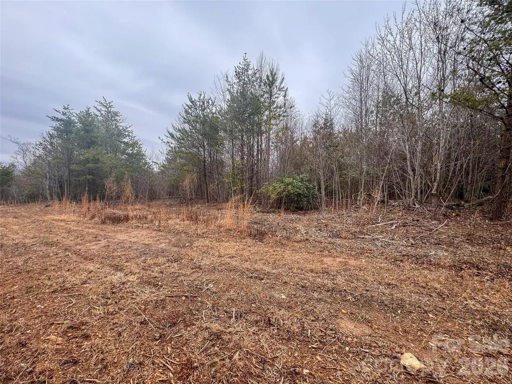 00 Baugess Mill Road Traphill NC 28685