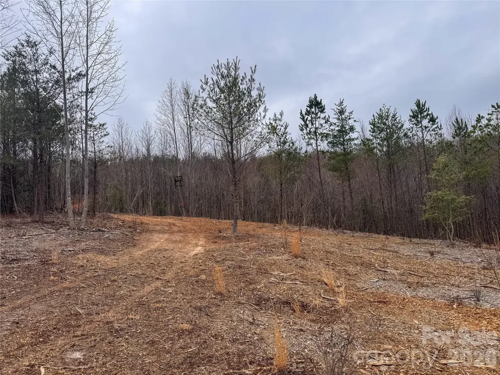 00 Baugess Mill Road Traphill NC 28685