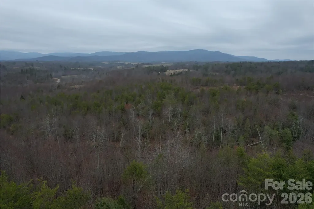 00 Baugess Mill Road Traphill NC 28685