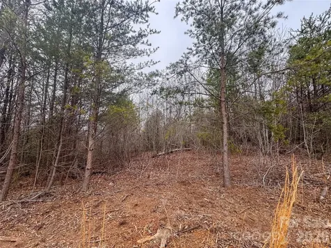 00 Baugess Mill Road Traphill NC 28685