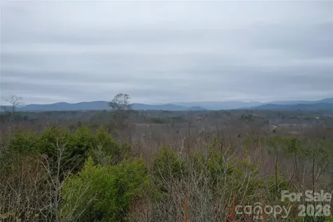 00 Baugess Mill Road Traphill NC 28685