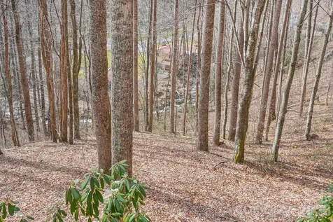 307 Roaring Creek Lane Waynesville NC 28786