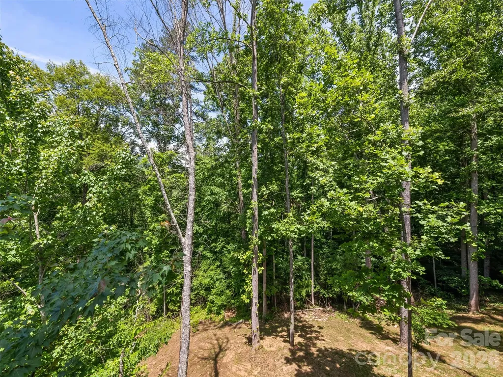 288 Ironwood Drive Clyde NC 28721