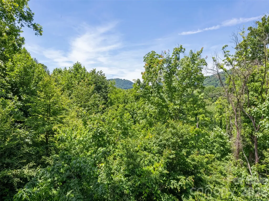 288 Ironwood Drive Clyde NC 28721
