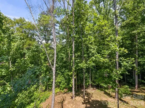 288 Ironwood Drive Clyde NC 28721