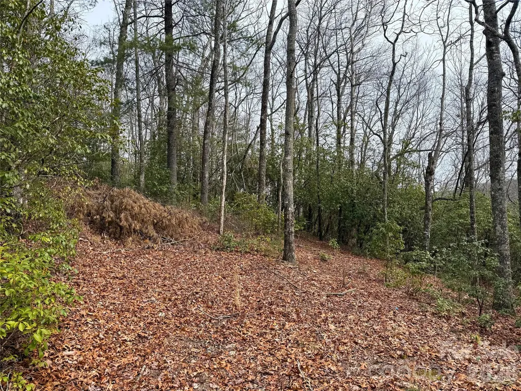 Tbd Laurel Thicket Lane Brevard NC 28712