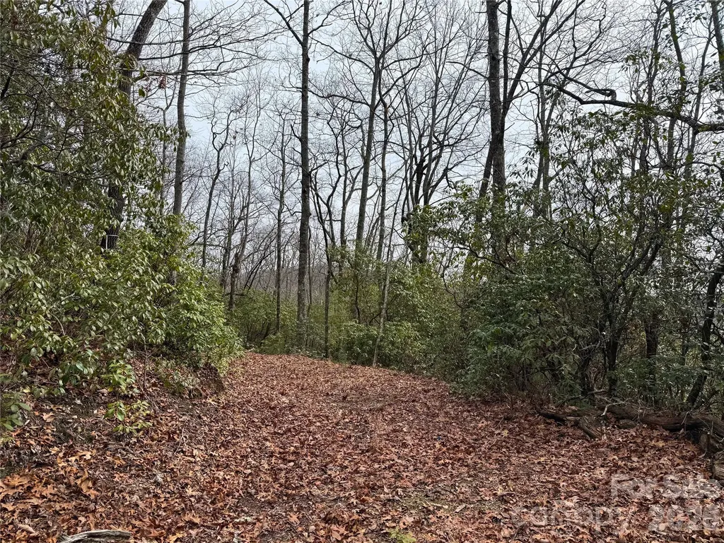 Tbd Laurel Thicket Lane Brevard NC 28712