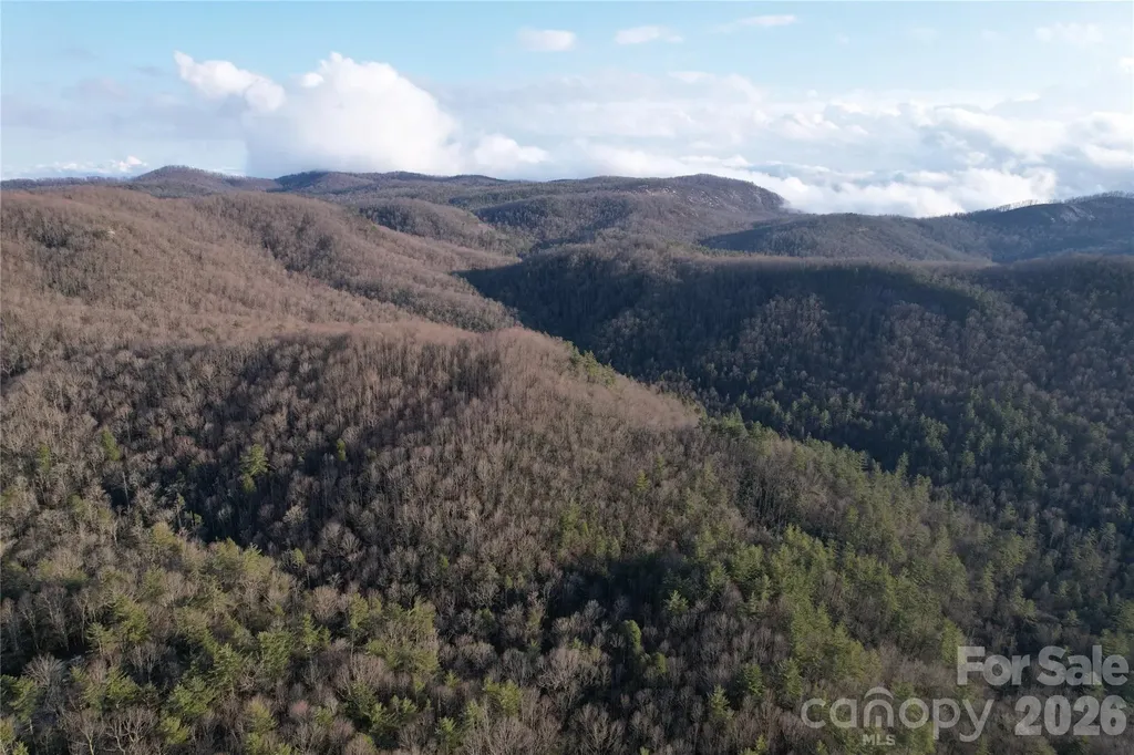 Tbd Laurel Thicket Lane Brevard NC 28712