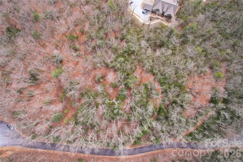Tbd Laurel Thicket Lane Brevard NC 28712