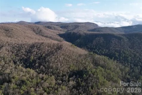Tbd Laurel Thicket Lane Brevard NC 28712