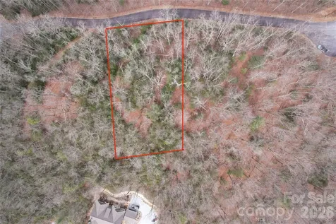 Tbd Laurel Thicket Lane Brevard NC 28712