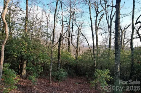 Tbd Laurel Thicket Lane Brevard NC 28712