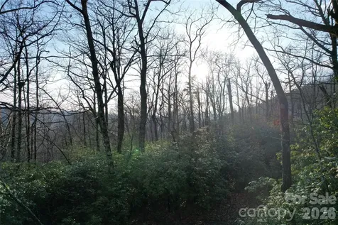 Tbd Laurel Thicket Lane Brevard NC 28712
