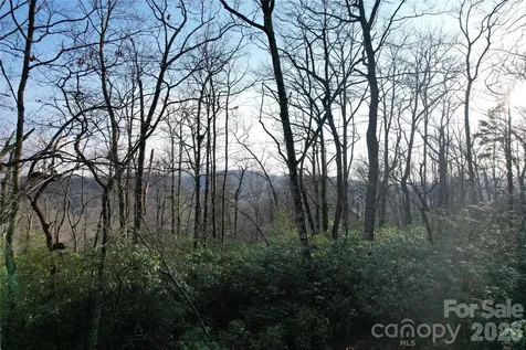 Tbd Laurel Thicket Lane Brevard NC 28712