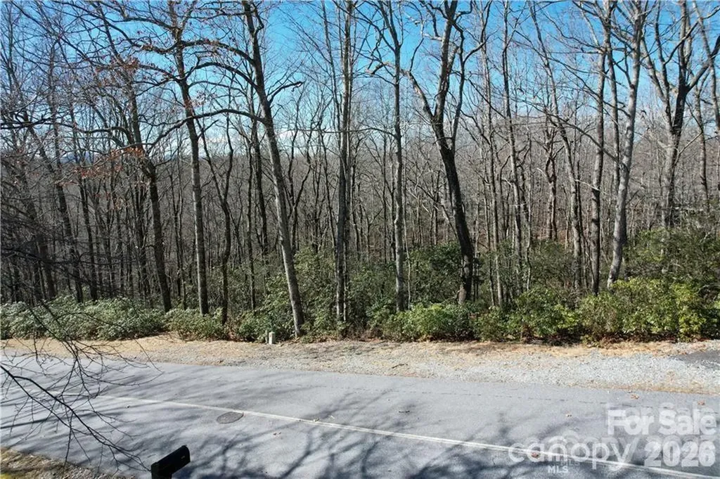 U19 L053 Gawanv Court Brevard NC 28712
