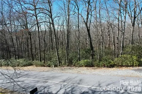 U19 L053 Gawanv Court Brevard NC 28712