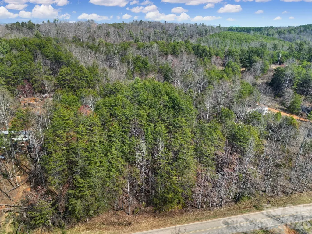 236 Dirty Ankle Road Lawndale NC 28090