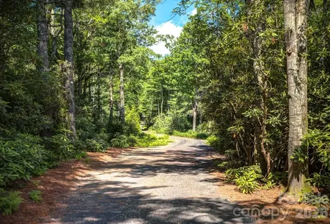 3434 Old Jonas Ridge Road Newland NC 28657