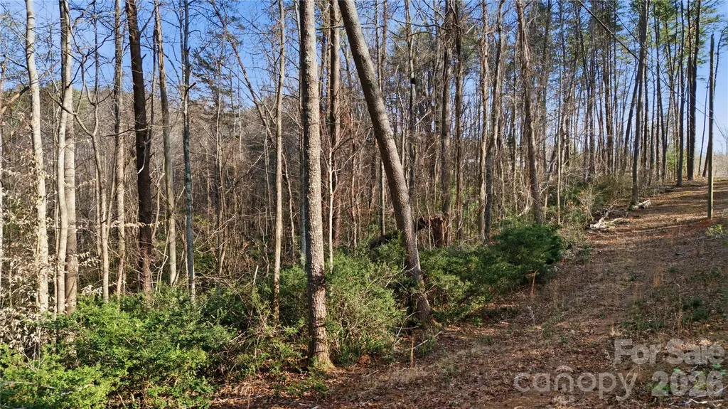 0 Hooker Road Tryon NC 28782