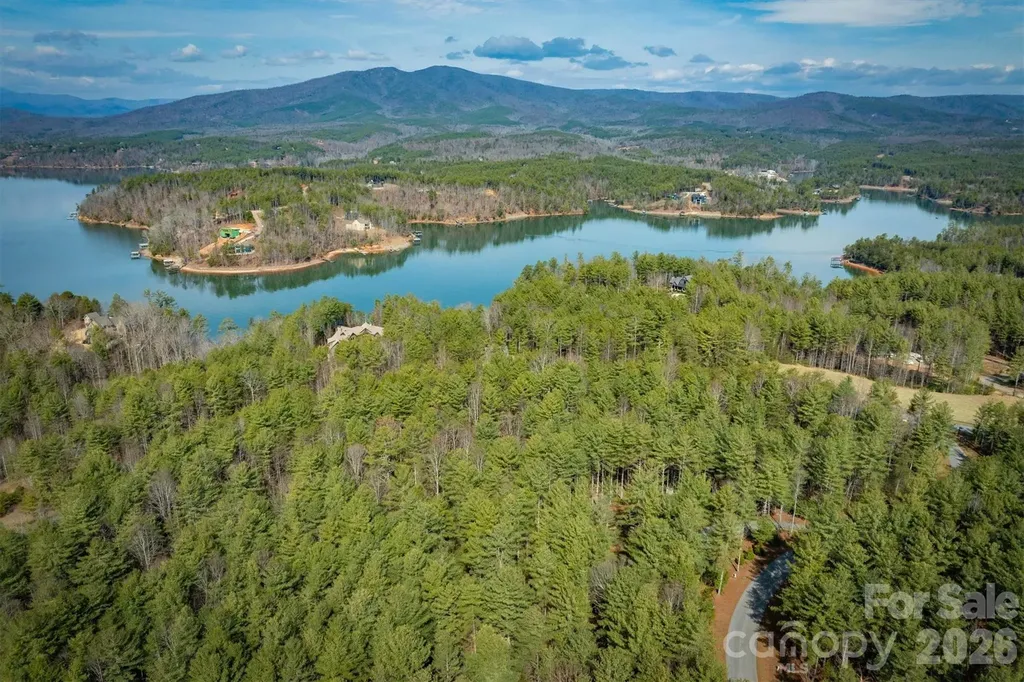 40 Kingfisher Trace Nebo NC 28761