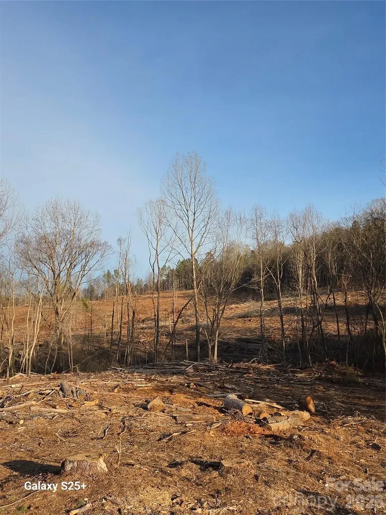 Vacant Land Pole Running Road Mount Pleasant NC 28124