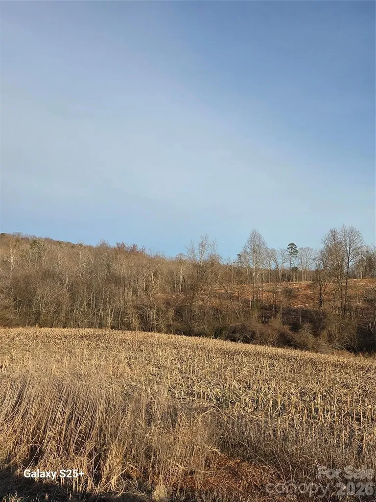 Vacant Land Pole Running Road Mount Pleasant NC 28124