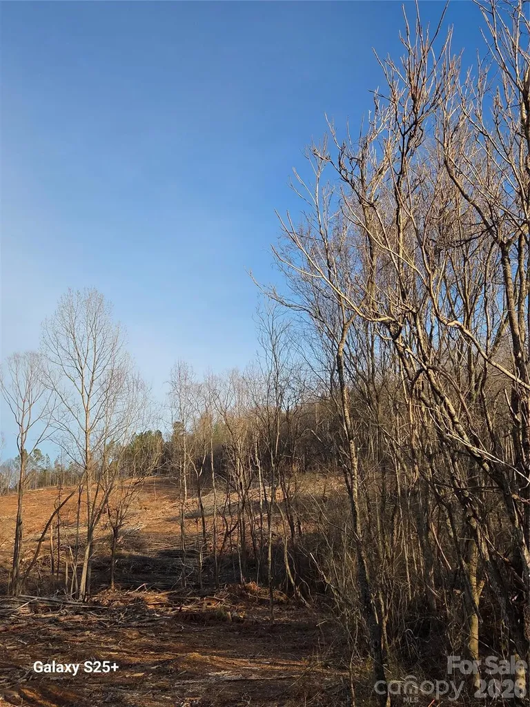 Vacant Land Pole Running Road Mount Pleasant NC 28124