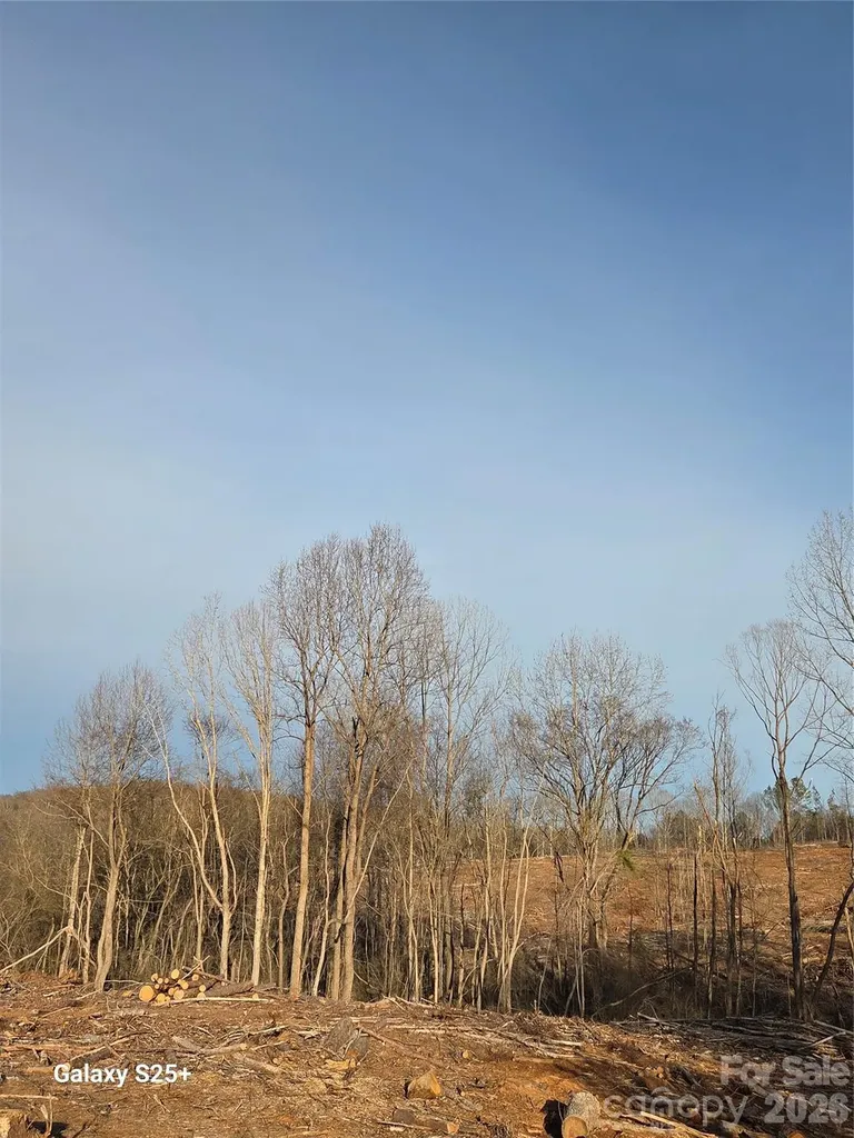 Vacant Land Pole Running Road Mount Pleasant NC 28124