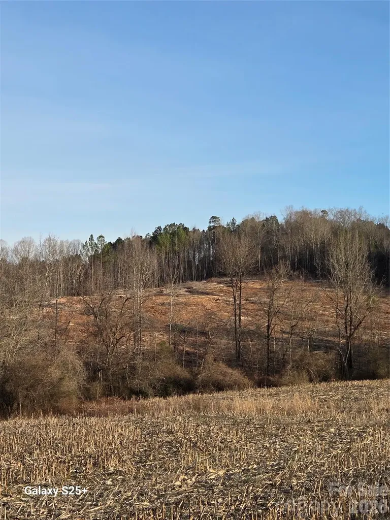 Vacant Land Pole Running Road Mount Pleasant NC 28124
